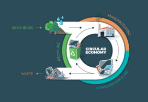 value_chain_of_a_company_and_a_circular_economy_800